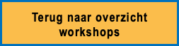 Terug naar overzicht workshops